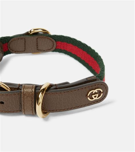 collier chat gucci|gucci leather dog collars.